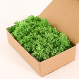 Dallisten Moss Preserved, Craft Reindeer Green Decorative Moss for Enchanted Forest Decorations, Fairy Garden, Party, Art Wall, Indoor Potted Plants,Table, Terrariums, Bonsai Decor (1Green,3.6OZ)