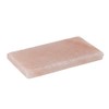 Salt Plate (Salt Roaster Plate) Approx. 5.1 x 2.8 x