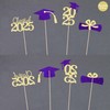 Class of 2025 Graduation Decoration Centerpieces for Tables, 2025 Graduation