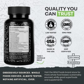 Wild Prebiotics and Probiotics with Digestive Enzymes | 20 Billion CFU - 10 Strains for Women & Men | Support Gut Health & Digestion Supplements | Non-GMO Prebiotic Fiber | 30 Capsules