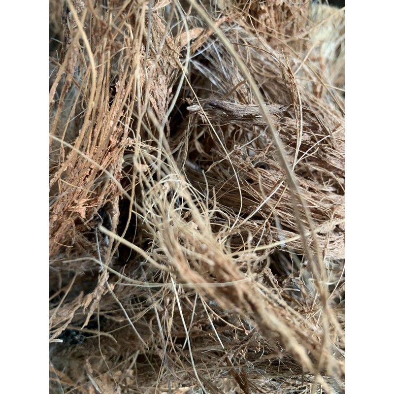 Natural Coconut Husk Fibres, Raw Coir Material, Brown