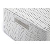 Arpan Medium Resin Woven Storage Basket Box with Lid &