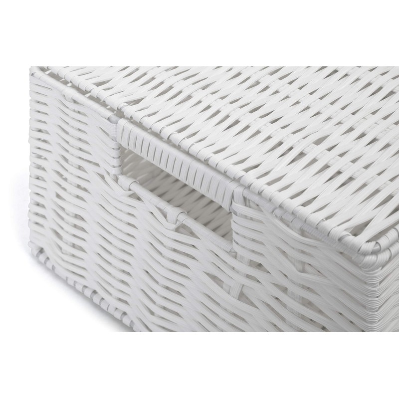 Arpan Medium Resin Woven Storage Basket Box with Lid &