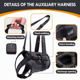Adjustable Dog Lifting Harness for Back Legs | Support Sling & Hind Leg Brace for Injured, Disabled, Elderly Dogs | Small/Medium/Large Sizes with Lift Handle & Padded Straps (S)