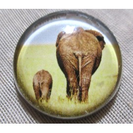 GLASS DOME PICTURE BUTTON of MOTHER & BABY ELEPHANT  1 inch 25mm