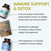 The Wellness Company Daily Immunity Gummies – Delicious Immune Boost