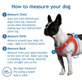 Kruz Dog Harness (Chest 20.5"-22", Weight 20–25 lbs) Athletica Adjustable Heavy Duty No Choke Puppy Vest for Small Dogs Lightweight Air Mesh, Reflective, Puppy Essentials – Amethyst, X-Large