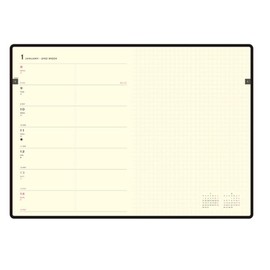 Pilot Frixion Erasable Rollerball Pen (1 Pen, Green)