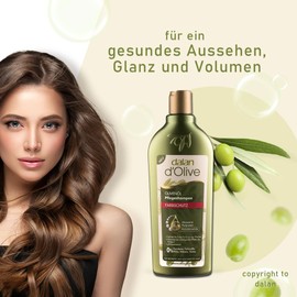 2 x Dalan d'Olive Shampoo Colour Protection Colour (Each 400 ml)