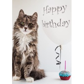 Pops & Coco Happy Birthday Fluffy Cat Birthday Card - Cute - Greeting Card - Pet - Animals