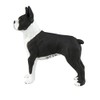 Safari Ltd. Boston Terrier Figurine - Detailed 2.5" Plastic Model