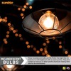 Sunlite G11 Globe Incandescent Light Bulbs, 10 Watts, 65 Lumens,