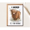 SNM Designs - 'Herd It's Your Birthday' Fun Pun Card
