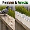Bird Repellent Spikes for Outdoor Use - Bendable PP Deterrent