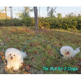 Mycicy Reflective Dog Tie Out for 2 Dogs, 12ft/ 20ft/ 30ft Portable Long Dog Tether for Dogs up to 250lbs, Outdoor Overhead Trolley Runner with 4ft Zipline Rope for Outside Camping Yard Parks