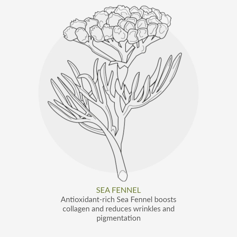 Age Defy+ Tinted Protection Moisturizer SPF15 - Lightweight 30ml Natural