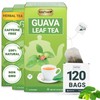 LeafLea 120 Guava Leaf Tea Bags, Premium Natural Herbal Tea,