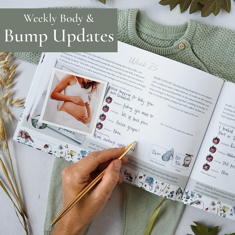 Pregnancy Journal and Memory Book Gift – Pregnancy Diary for
