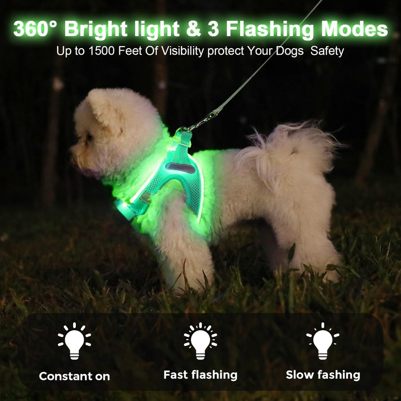 Light Up Dog Harness,Rechargeable LED Dog Harness for Small Medium