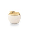 Tried & True Orchard Cider Ceramic Apple Candle, White