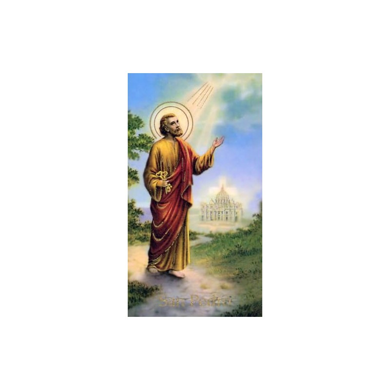 St. Jude Store La Sombra de San Pedro A -