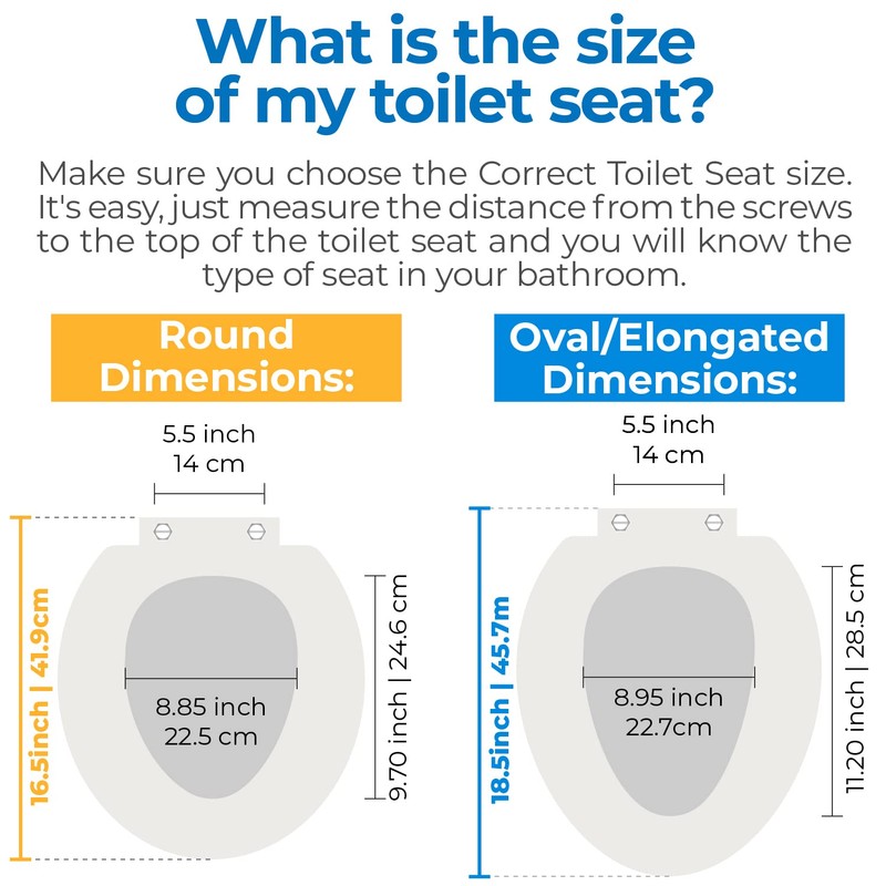 Heavy-duty Comfort toilet round seat with fake coins,1 dollar bill