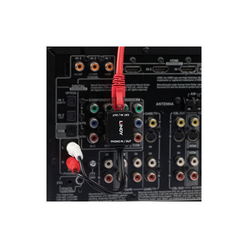 LINDY 100M Cat5/6 Stereo Audio Extender - Phono