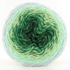 Scheepjes Whirl-Fine Art 653 Fauvism 1 x 220 g