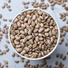 High Plains Bean Combo (Pack of 4) | 1 Pound