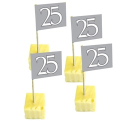 Folat 07796 25th Birthday/Anniversary Party Picker, Silver