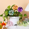 Maxdot 6 Pcs Large Plant Watering Globes Glass Automatic Self