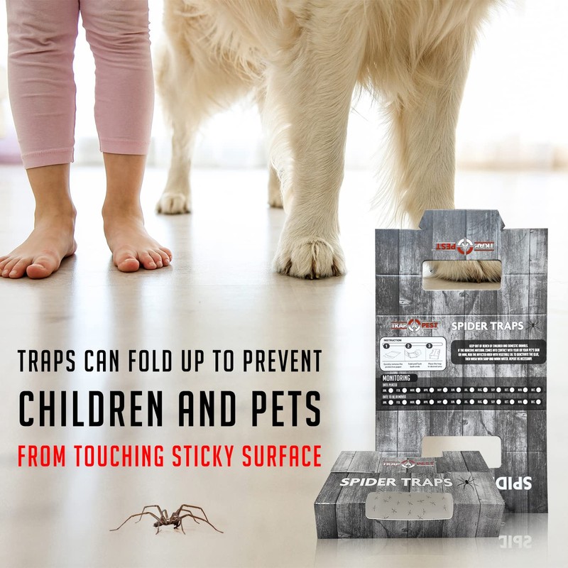 Spider Traps for Inside Your Home (16 Traps) - Spider