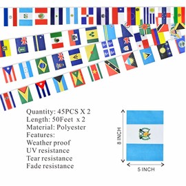 Ckexin 2 Pack 45 Latin American Countries Flags Banner Dercoations for Classroom Latino Heritage Hispanic Month 100Feet 90flags