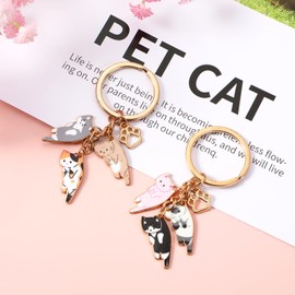 JIEYAO Funny Cat Key Chain, Pack of 2 Cute Gifts for Cat Lovers, Kawaii Kitty Enamel Alloy Keyring, Partner Keyring, Cartoon Cat Pendant for Girls and Women, Colourful