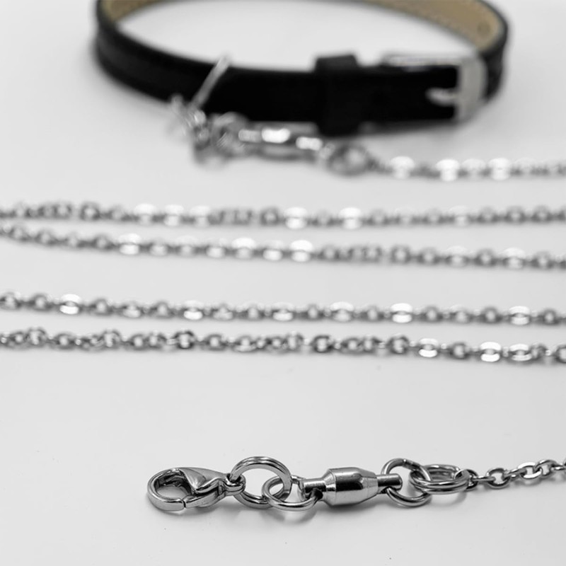 Copfeu Bird Foot Chain Flying Stainless Steel Training Rope with