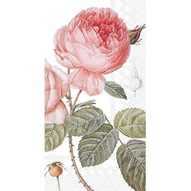 Boston International, Napkin Guest Elisabeth, 16 Count