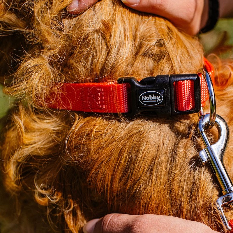 Nobby Leash Soft Bone, 120 cm/ 20 mm, Blue