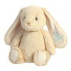 Aurora® Vibrant Spring My 1st Easter Bunny Stuffed Animal -