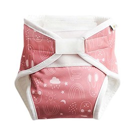 ImseVimse All-In-One Cloth Nappies (Rusty Pink Teddy, Small)