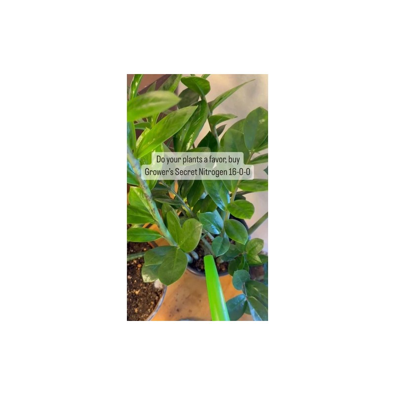Grower's Secret Nitrogen 16-0-0 • Organic • Readily Available For