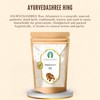 AYURVEDASHREE Asafoetida Hing (Premium) 100g | Heeng | Gluten Free