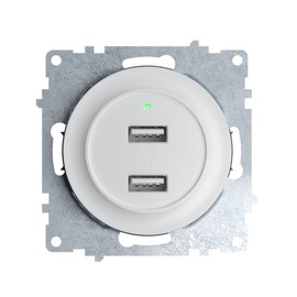 OneKeyElectro: USB Flush-Mounted Socket with 2 Ports, Charger, USB A Charging Sockets - 230 V~, 5 V, 2.1 A, with LED Charging Indicator, Round, Matte Anti-Fingerprint, Protection Class IP20, without