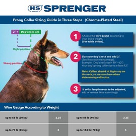 HERM SPRENGER Prong Dog Collar Extra Links, Set of (3) 2.25 mm Chrome Links, Steel Chrome Plated Dog Prong Collar Links, Pinch Collar and Dog Correction Collar Links, Prong Training Collar Links