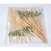 Bamboo Rather Picks bi-zupikkusu (Green) 9 cm Pack of 50 9497 
