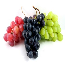 GRAPE FRAGRANCE OIL - 16 OZ/ 1 LB - FOR CANDLE & SOAP MAKING BY VIRGINIA CANDLE SUPPLY - FREE S&H IN USA