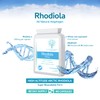 Rhodiola 500mg (3% Rosavins - 1% Salidrosides) Whole Root Equivalent