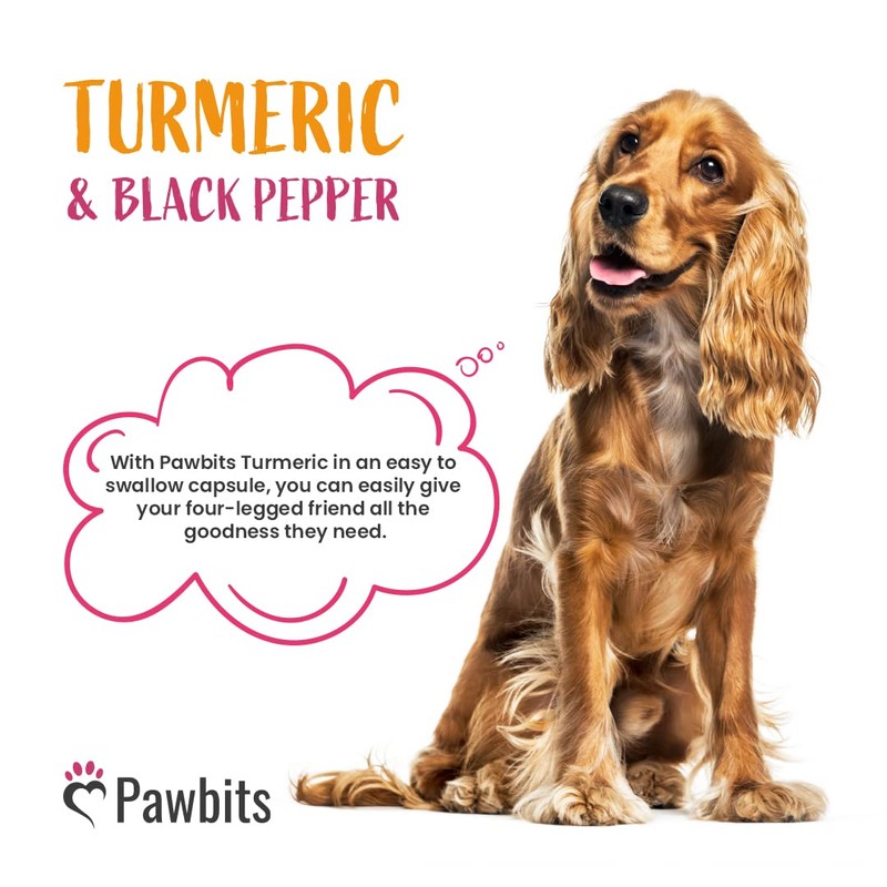 365 Turmeric for Dogs with Active Bioperine Black Pepper |