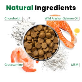 Petsology Advanced Hip & Joint Supplement for Dogs – Glucosamine, MSM, Chondroitin – Supports Healthy Joints & Comfort – Made in USA