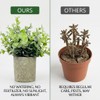 6 Pack Fake Plants Succulents Eucalyptus Small Cement Pots Indoor