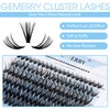 Cluster Lashes 280pcs Lash Clusters DIY Lash Extensions 10D/20D/30D/40D Individual